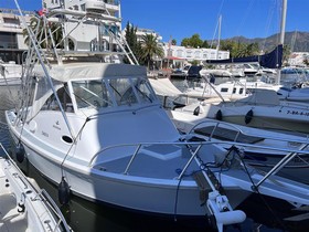 Bertram Yachts 31