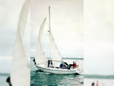 Koupit 1980 Trapper 700