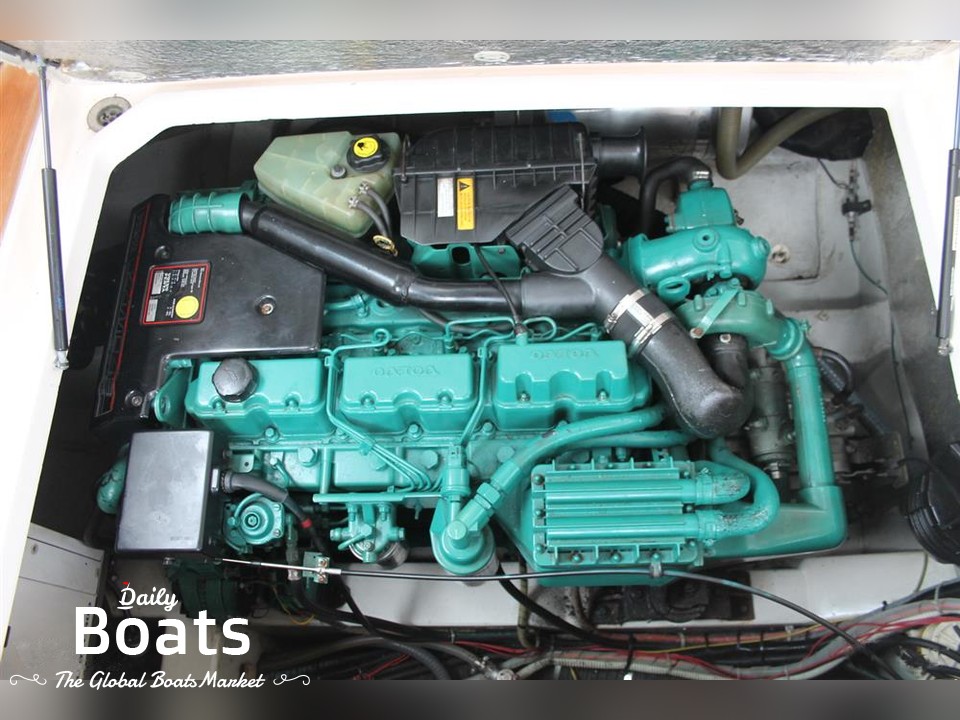 nimbus 23 vs pegasus 38