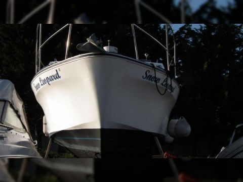 1980 Seamaster 30