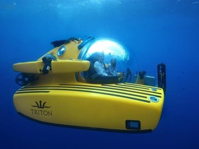Triton Submarines 1650/3Lp Submarine