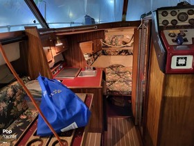 1981 Sea Ray Boats 250 for sale