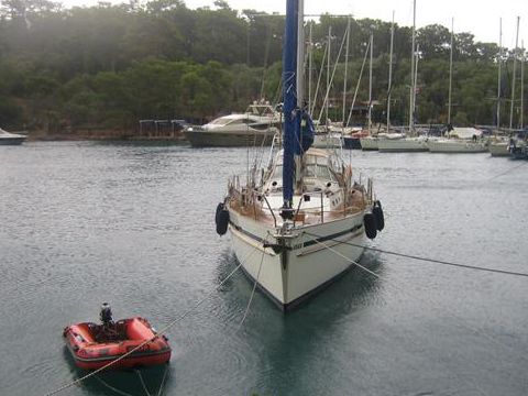 Buy 2008 Dick Zaal 45
