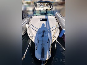 1995 Sea Ray Boats 250 Sundancer for sale