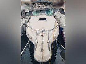 Buy 1995 Sea Ray Boats 250 Sundancer
