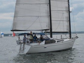 1982 Freedom 39 for sale