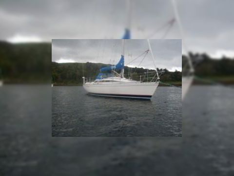 Beneteau First 305