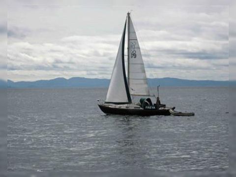 Contessa 26