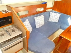 1984 Sadler Yachts 25 til salgs