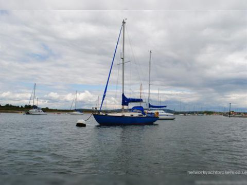1973 Contessa 26 for sale
