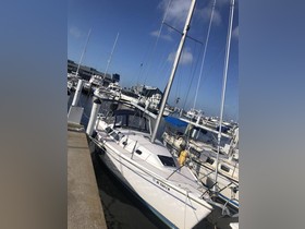 Catalina Yachts 31