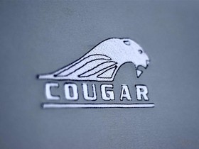 2022 Cougar Viper 34