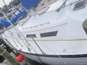1984 Hunter Cherubini 37 for sale