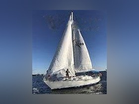 1984 Hunter Cherubini 37