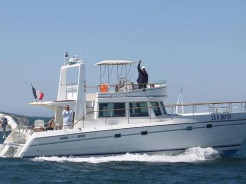 Alliaura Marine Transcat 48