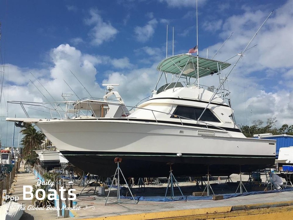 1991 Bertram Yachts 37