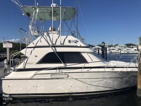Buy 1991 Bertram Yachts 37