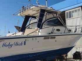 2010 Polyform Triakis C29 kaufen