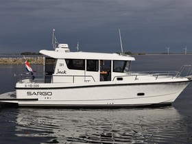 Buy 2019 Sargo 31