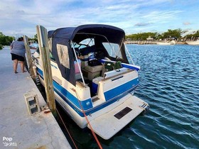 Купить 1988 Sea Ray Boats 230 Weekender