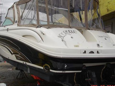 Sea Ray 290