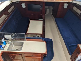 1981 Catalina Yachts 30 kopen