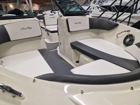 2018 Sea Ray 210 Spx - Perfect Condition na sprzedaż