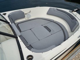 Bayliner Element M19