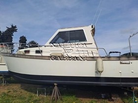 Orion Coral 27