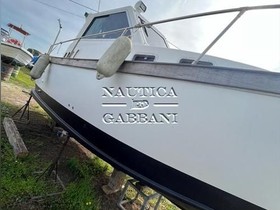 Купить 1993 Orion Coral 27