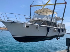 1996 Symbol Yachts Sundek 41 satın almak