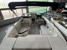 2023 Sea Ray 230 Spoe X Package for sale