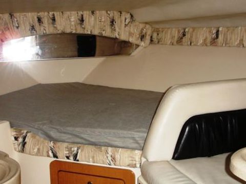 1999 Wellcraft 3000 for sale