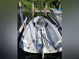 2020 RS Sailing *Segelboot/Sportboot 21* na prodej