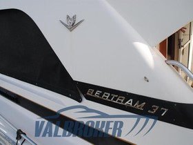 1987 Bertram Yacht 37' Convertible kopen