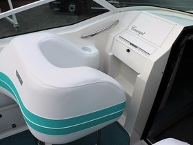 Sea Ray Envision 29 Concept Mint Edition