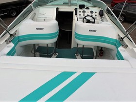 Sea Ray Envision 29 Concept Mint Edition