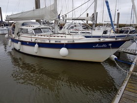 Fjord Ms 33