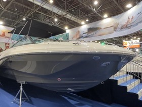 Koupit 2022 Sea Ray 250 Sdxe