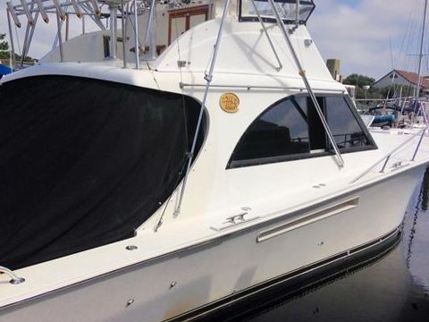 Jersey Dawn 36