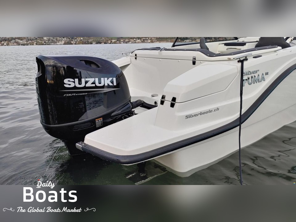 Silver Puma Br for sale. View price, photos and Buy Silver Puma Br #415339