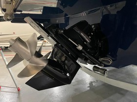 Acheter 2020 Sea Ray 250 Slx