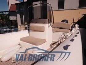 Buy 2019 Capelli Tempest 505