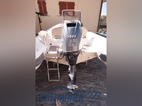 Buy 2019 Capelli Tempest 505