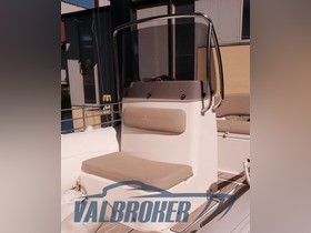 Buy 2019 Capelli Tempest 505