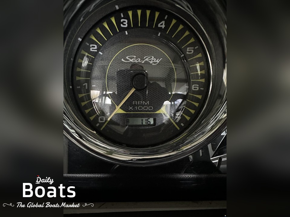 2019 Sea Ray 190 Spxe & Steinbach Trailer for sale. View price, photos