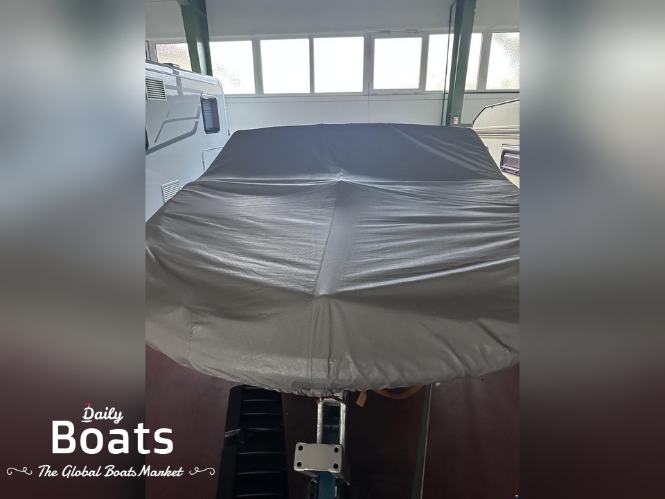 2019 Sea Ray 190 Spxe & Steinbach Trailer for sale. View price, photos