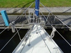 1981 Standfast 33
