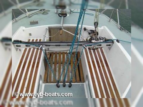 Buy 1981 Hustler 36