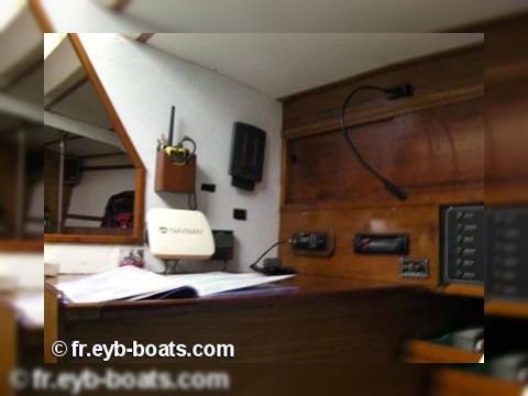 1981 Hustler 36 for sale